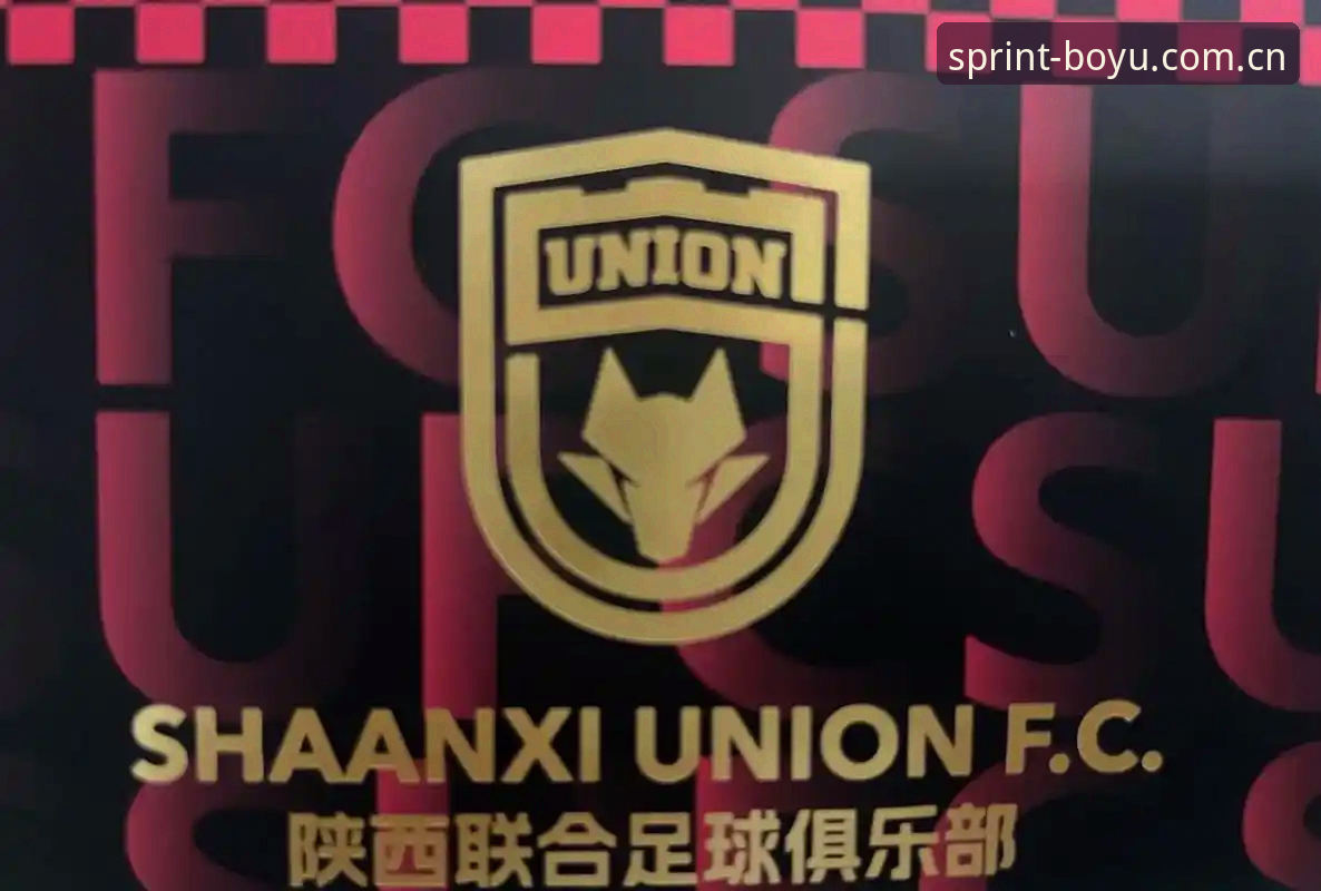 博鱼电竞注册地址 中国足协第三批禁足名单公布后,资深球迷如何在博鱼体育官网追踪赛事动态?